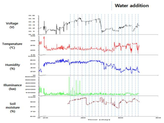 정상식물의 온도, 광량, 습도, 토양습도와 전기신호 측정 결과 (싱고니움)