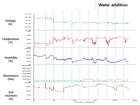 정상 식물의 온도, 광량, 습도, 토양습도와 전기신호 측정 결과 (스킨답서스)