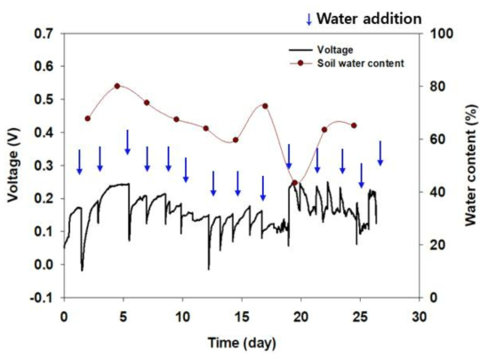 전기화학 신호와 토양 함수량 측정 비교 결과