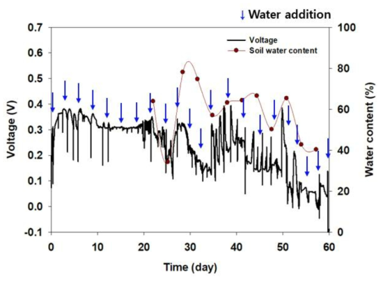 Stainless steel 전극을 이용한 정상 식물의 토양 함수량과 신호의 상관관계 분석
