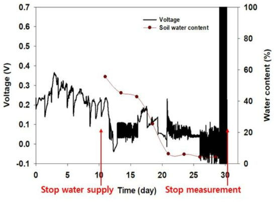 Stainless steel 전극을 이용한 건조 식물의 토양 함수량과 신호의 상관관계 분석