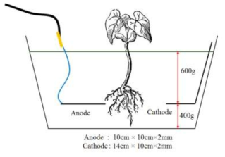 Plant microbial fuel cell 구성도