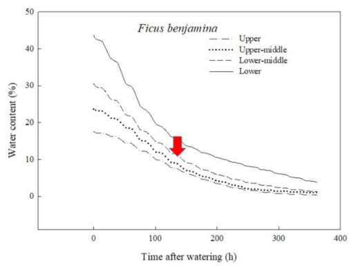 시간에 따른 벤자민고무나무 화분의 센서 위치별 토양수분 변화