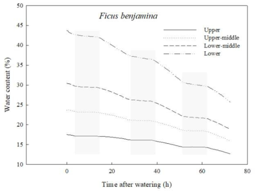 3일동안 벤자민고무나무 화분의 센서 위치별 토양수분 변화