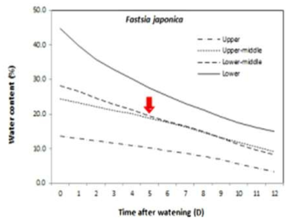 시간에 따른 팔손이나무(Fastsia japonica) 화분의 센서 위치별 토양수분 변화(↓관수시점)