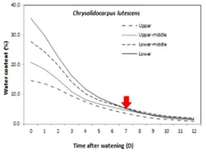 시간에 따른 아레카야자(Chrysalidocarpus lutescens) 화분의 센서 위치별 토양수분 변화(↓관수시점)