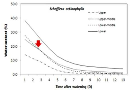 시간에 따른 대엽홍콩(Schefflera actinophylla)화분의 센서 위치별 토양수분 변화(↓관수시점)