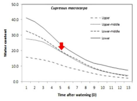 시간에 따른 율마(Cupressus macrocarpa ‘Wilma’)화분의 센서 위치별 토양수분 변화(↓관수시점)