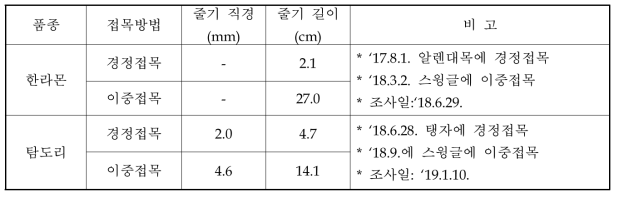 품종별 경정접목 묘와 이중접목 묘목 간 생장 비교