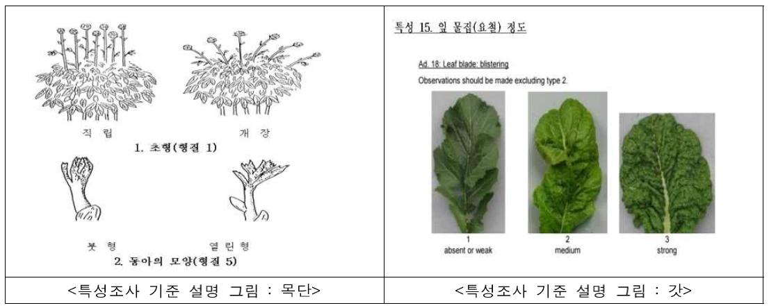 특성조사 기준 설명 그림