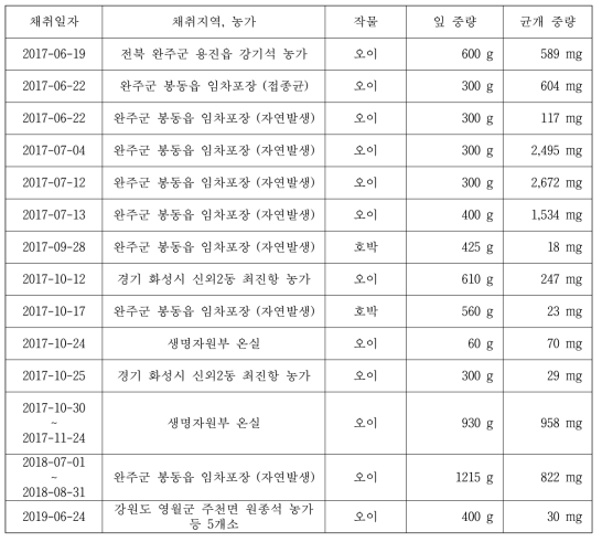 오이(박과) 흰가루병균 시료 채취, 수집