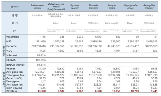 오이흰가루병균 유전체와 6개 진균 유전체의 비교