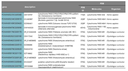 오이흰가루병균 유전체에 존재하는 cytochrome P450 유전자군