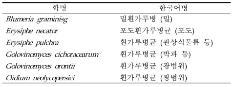 오이흰가루병균 (Podosphaera xanthii)과 비교한 6개 근연종 목록