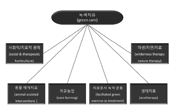 Green Care Umbrella (출처: Sempik, Hine & Wilcox(2010). Green care: a conceptual framework)