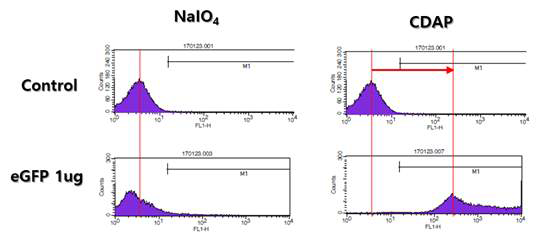 NaIO4 conjugation과 CDAP conjugation의 peak 비교