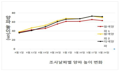 1차년도 예비조사 토양침식 우심지역 생육 시기별 양파 높이