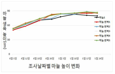 1차년도 토양침식 우심지역 마늘 생육시기별 경장 변화