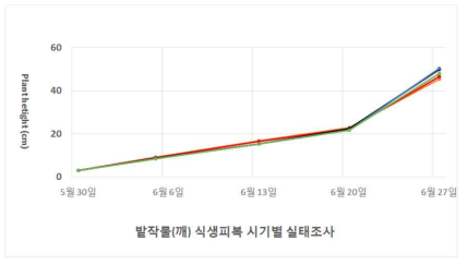 1차년도 토양침식 우심지역 참깨 생육시기별 높이 변화