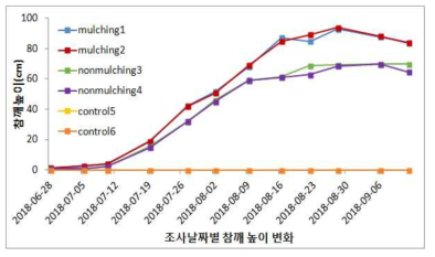 2차년도 하계작물 토양침식 우심지역 참깨 생육시기별 높이