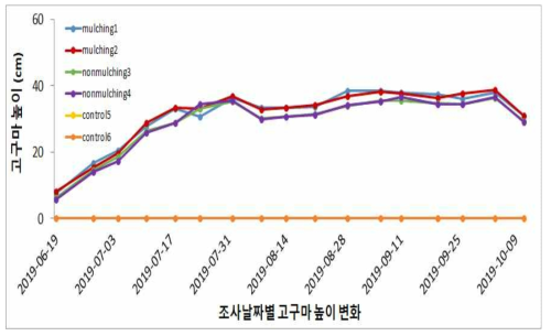 3차년도 하계작물 토양침식 우심지역 고구마 생육시기별 경장