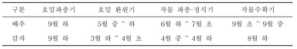 강릉 왕산 호밀 재배농가의 배추, 감자 재배 작형