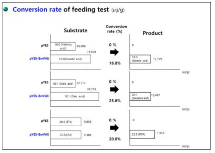 Fatty acid elongase 효소 유전자의 효모 기질 전환율