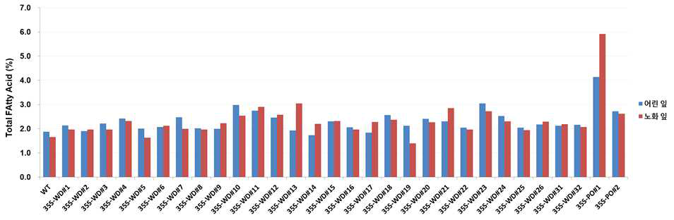 35S 프로모터로 조절된 형질전환 담배의 총지방산 함량