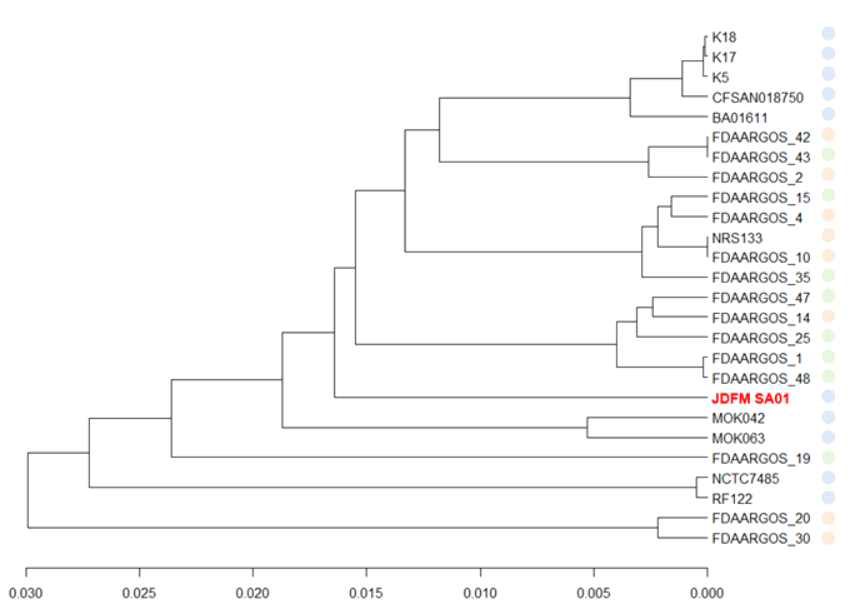 Staphylococcus aureus JDFM SA01를 포함한 10종의 Average Nucleotide Identity(ANI) tree 분석(푸른색: 낙농환경유래 S. aureus, 초록색: 인체유래 MRSA, 분홍색: 인체유래 MSSA)