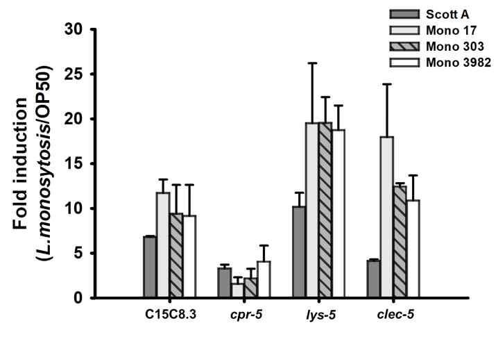 Listeria monocytogenes 감염에 따른 Caenorhabditis elegans 생체 숙주의 면역 관련 유전자 발현변화 조사