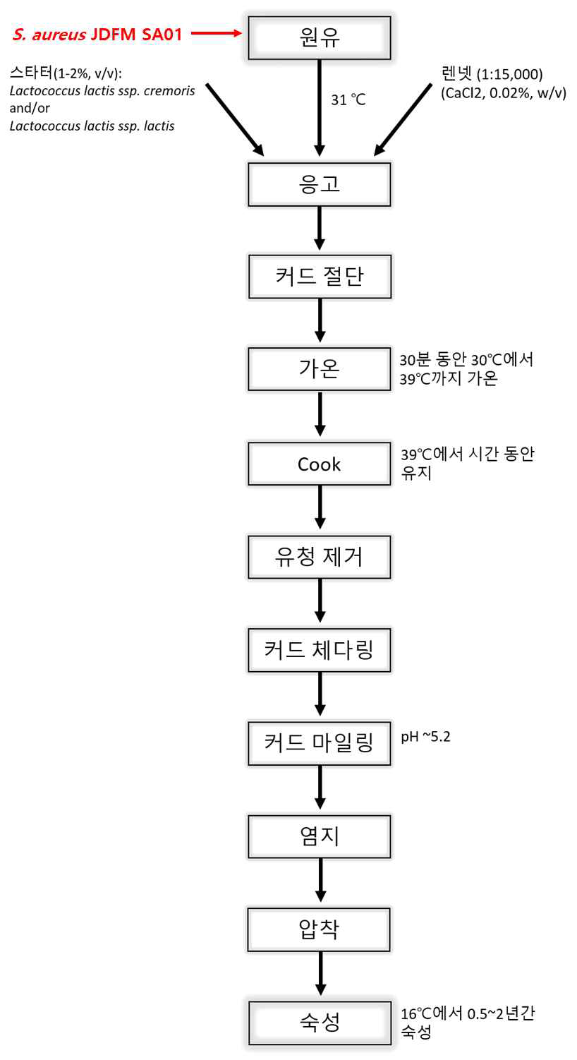 Staphylococcus aureus JDFM SA01에 오염된 실험실 체다 치즈 제조 방법