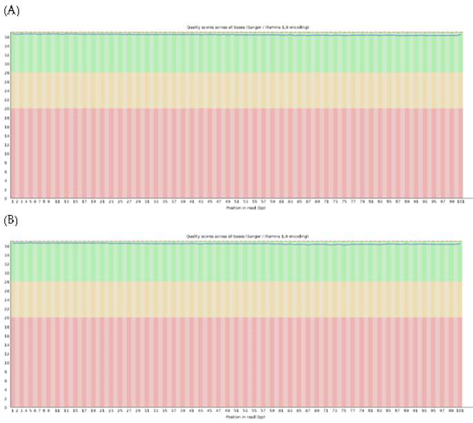 Trimming 후 사이클별 평균 염기 품질 (A) sample 1(read 1), (B) sample 2(read 1) Yellow box : 사이클별 염기 품질 점수의 interquartile range (25~75%)를 나타냄 Red line : 사이클별 염기 품질 점수의 중앙 값 Blue line : 사이클별 염기 품질 점수의 평균 값 Green background : 우수한 품질을 나타냄 Orange background : 양호한 품질을 나타냄 Red background : 나쁜 품질을 나타냄