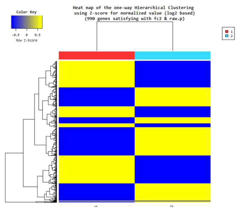 Hierarchical clustering 분석