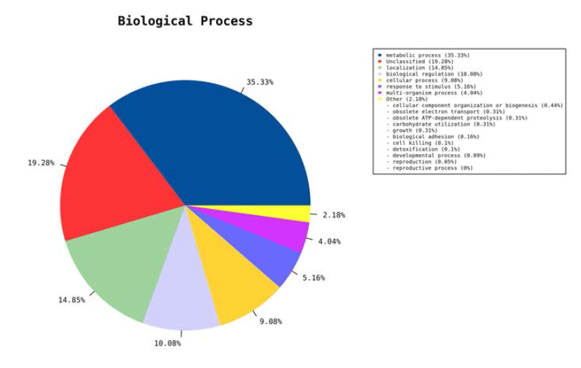 Biological process 관련 유전자 전사체 프로파일 분석