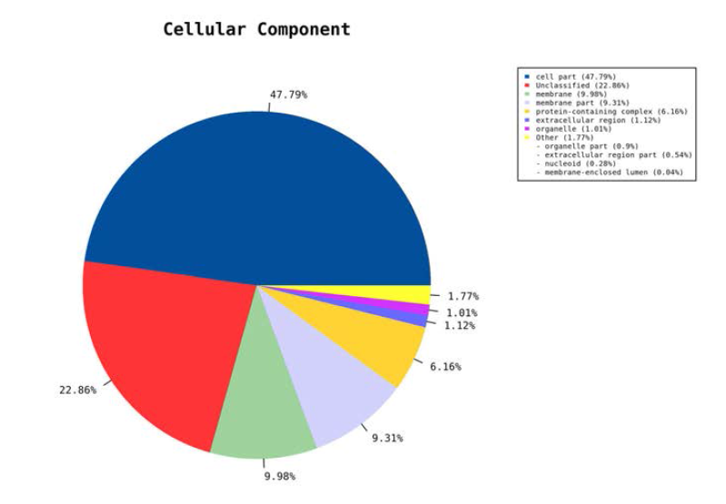 Cellular component 관련 유전자 전사체 프로파일 분석