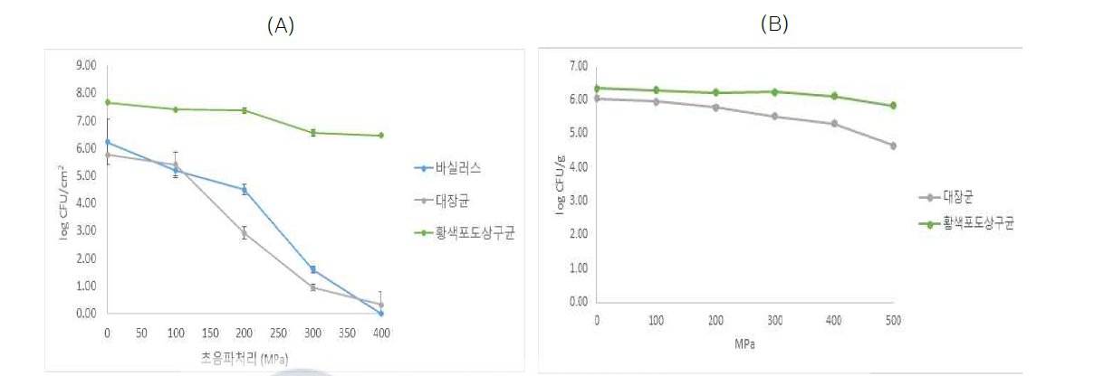 생물막 저감을 위한 초고압 처리 결과 (A) 스테인리스 칩 (B) 치즈표면