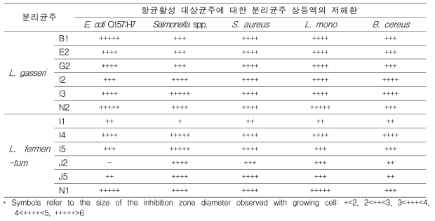 분리균주의 항균활성