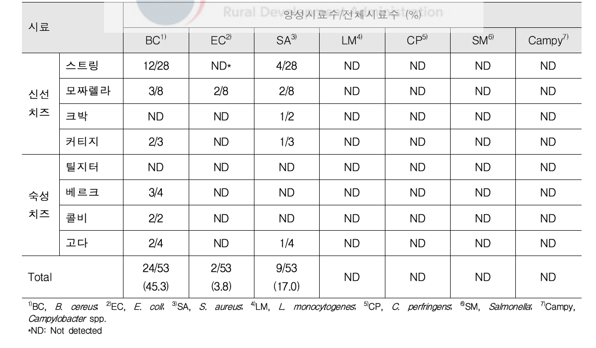 치즈 완제품 대상 식중독 세균 정성 분석 결과