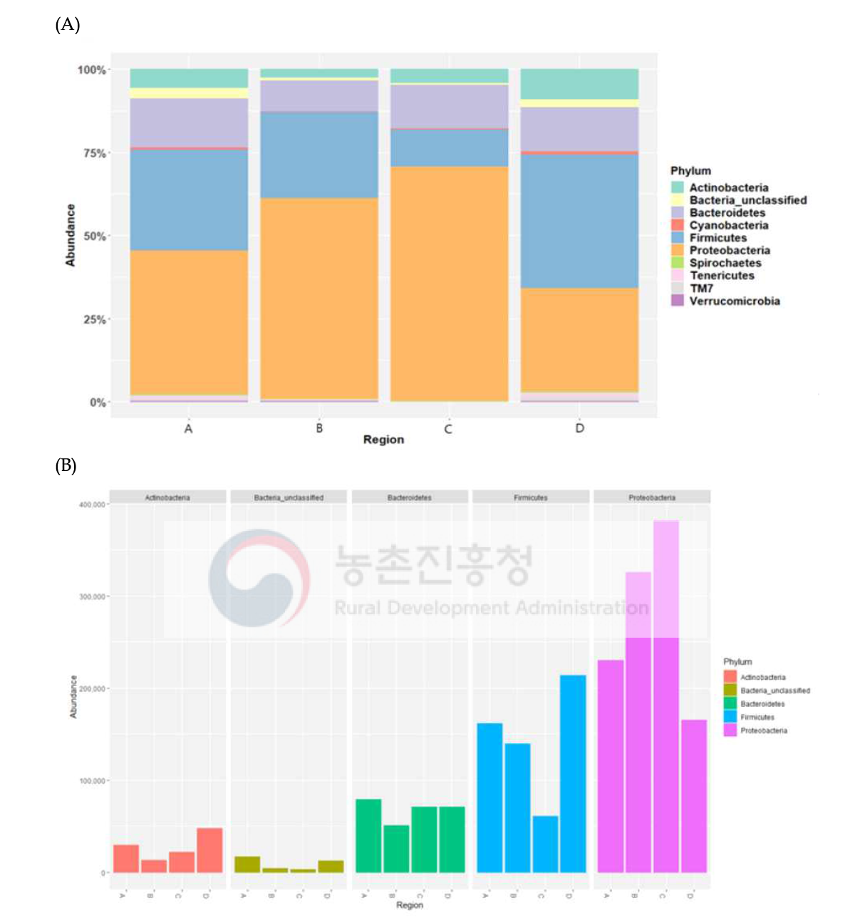 국내 지역별 목장 원유의 미생물 균총 분석 - Phylum level