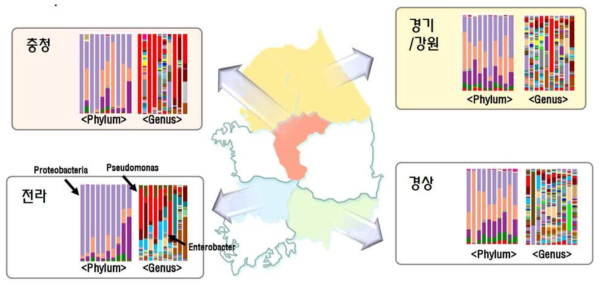 메타지노믹스를 통한 지역별 원유미생물 분포도 조사