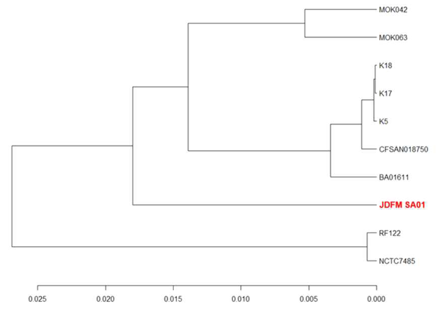 Staphylococcus aureus JDFM SA01를 포함한 10종의 Average Nucleotide Identity(ANI) tree 분석