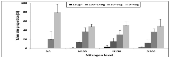 억새 환원 후 질소 시비수준에 따른 감자 괴경 크기 분포 (2018년 광활시험지)