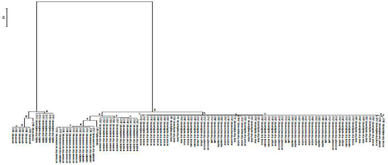 5개의 DNA 바코드 부위(rbcL, matK, ITS2, psbA-trnH, trnT) 변이 기반 Triticum 속 종/아종 분류