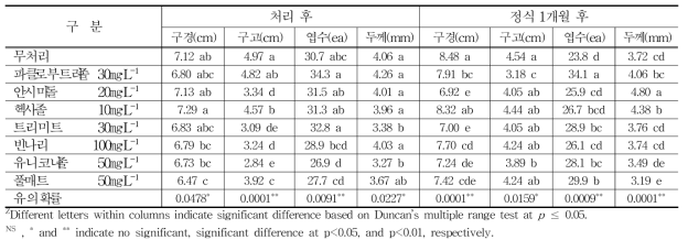 생장억제제 처리 후 생육특성조사(15℃ 저장)