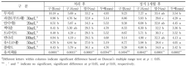 생장억제제 처리 후 생육특성조사(12℃ 저장)