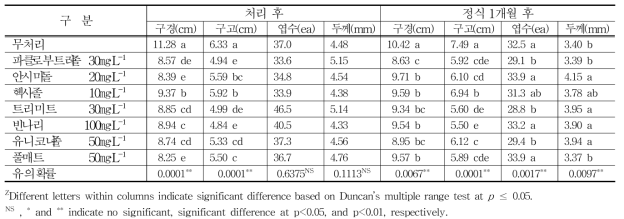 생장억제제 처리 후 생육특성조사(15℃ 저장)