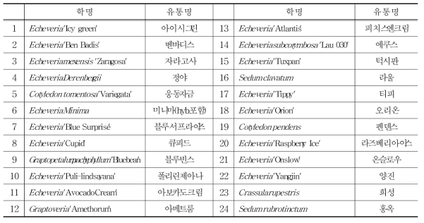 Echeveria, Cotyledon, Graptopetalum, Graptoveria, Crassula, Sedum 속 24종 list