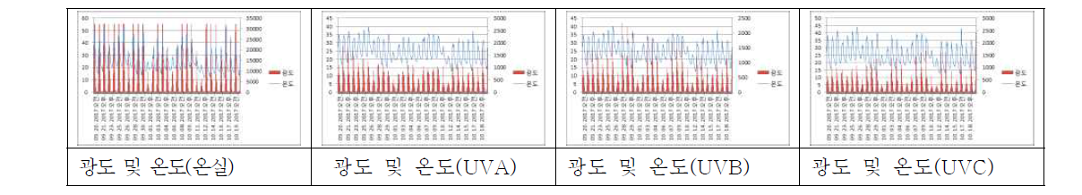 UV 광처리 기간 생육환경