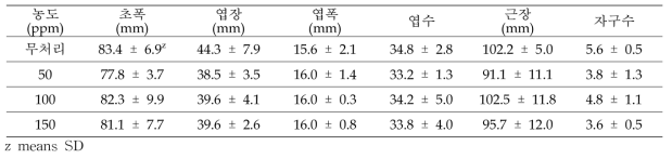 다육식물 ‘마커스’ NaCl 처리 효과