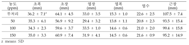 다육식물 ‘프리티’ NaCl 처리 효과